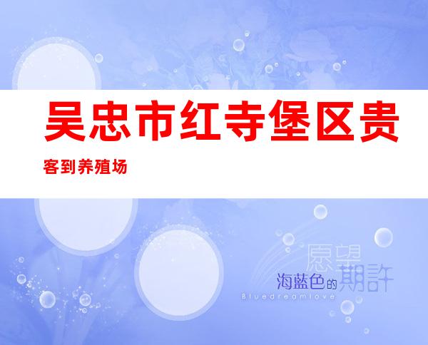 吴忠市红寺堡区贵客到养殖场